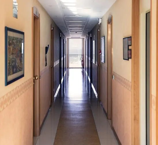 Hotel Remin Plaza Rimini